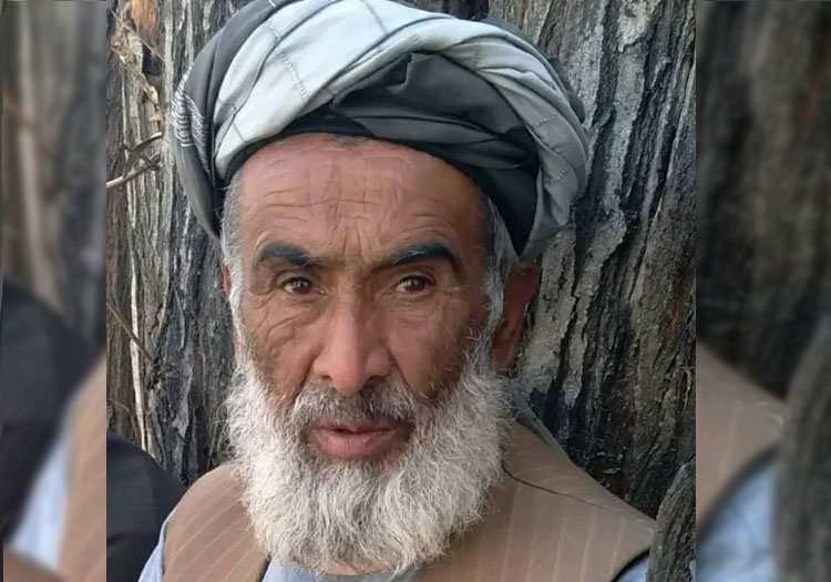 طالبان یک آموزگار را به اتهام همکاری با جبهه‌ی مقاومت در بغلان بازداشت کردند