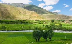 منابع مردمی: طالبان پنج نفر را در ولسوالی پریان پنجشیر بازداشت کردند