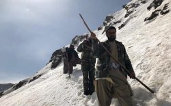 جنگ‌جویان طالب در بغلان اجازه‌‌ی دفن اجساد نیروهای مقاومت ملی را نمی‌دهند