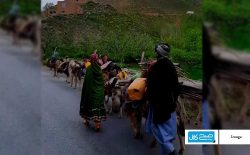 باشندگان محل: کوچی‌ها با کمک طالبان زمین‌های ما را غصب می‌کنند
