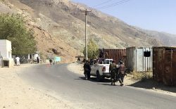 آمارهای مردمی؛ طالبان تنها در ولسوالی دره‌ی پنجشیر، ۱۴ غیرنظامی را کشتند