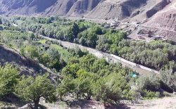 منابع: طالبان دست‌کم ۲۰ تن از باشندگان مرکز پنجشیر را بازداشت کردند
