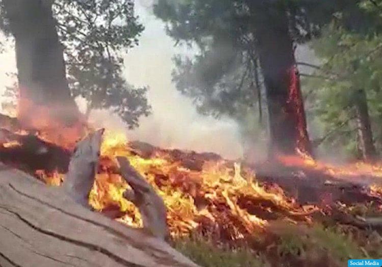 ادعای دروغین طالبان؛ آتش‌سوزی در جنگلات نورستان تا ناوقت روز گذشته ادامه داشت
