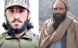 مسؤول قطعه‌ی بدری و یک آموزگار قطعه‌ی انتحاری طالبان در پنجشیر کشته شدند