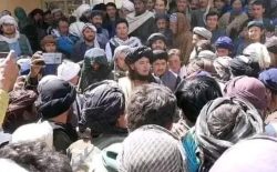 طالبان یکی از افراد مولوی مهدی را که تسلیم شده بود، بازداشت کردند