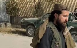 قمندان امنیه‌ی طالبان برای ولسوالی سیدآباد میدان‌وردک کشته شد