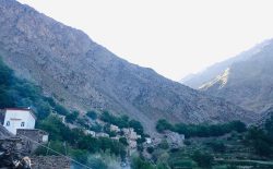 طالبان پس از دادن ۱۵۰ کشته و زخمی، ۲۰ غیرنظامی را در کرامان پنجشیر بازداشت کردند