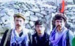 افراد طالبان بازهم یک چوپان را در ولسوالی اندراب بغلان تیرباران کردند
