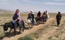 یونیسف: آواره‌گان جنگ بلخاب با پای پیاده و سوار بر الاغ خود را به بامیان می‌رسانند